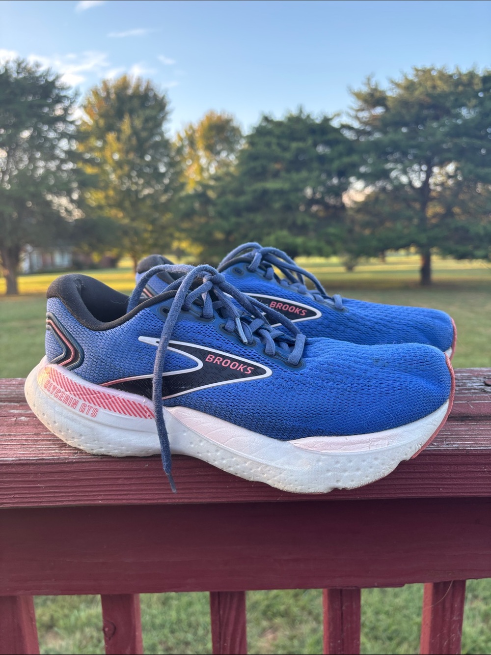 Brooks Women’s Blue and Pink Running Shoes